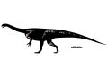 O nouă specie de dinozaur a fost descoperită în Zimbabwe