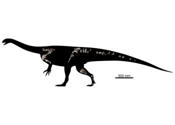 O nouă specie de dinozaur a fost descoperită în Zimbabwe