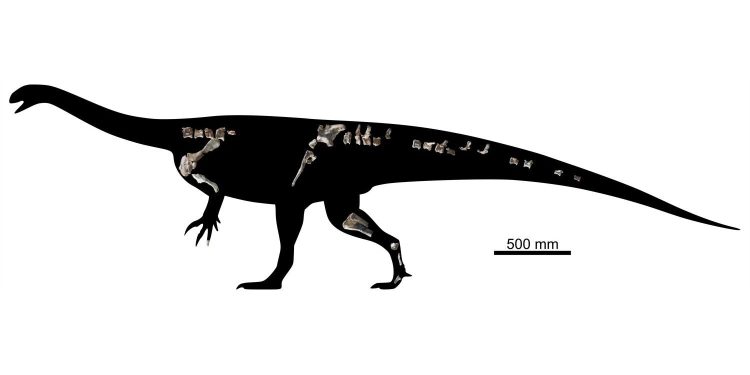 O nouă specie de dinozaur a fost descoperită în Zimbabwe