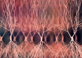 Două molecule inovatoare pot descifra mecanismele bolii Alzheimer