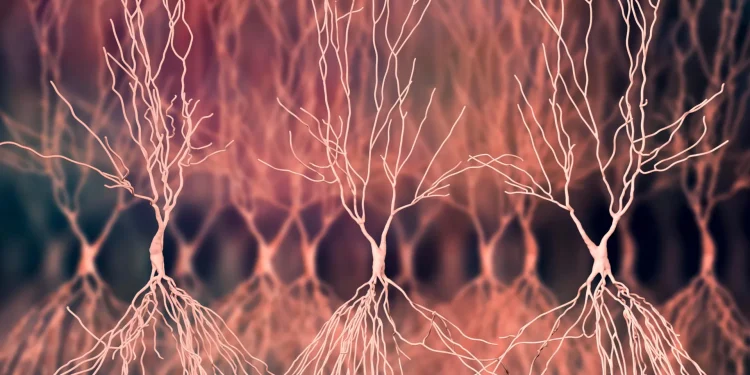 Două molecule inovatoare pot descifra mecanismele bolii Alzheimer