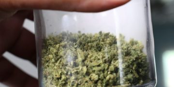 Tratamentul cu THC reduce semnificativ coșmarurile asociate stresului posttraumatic